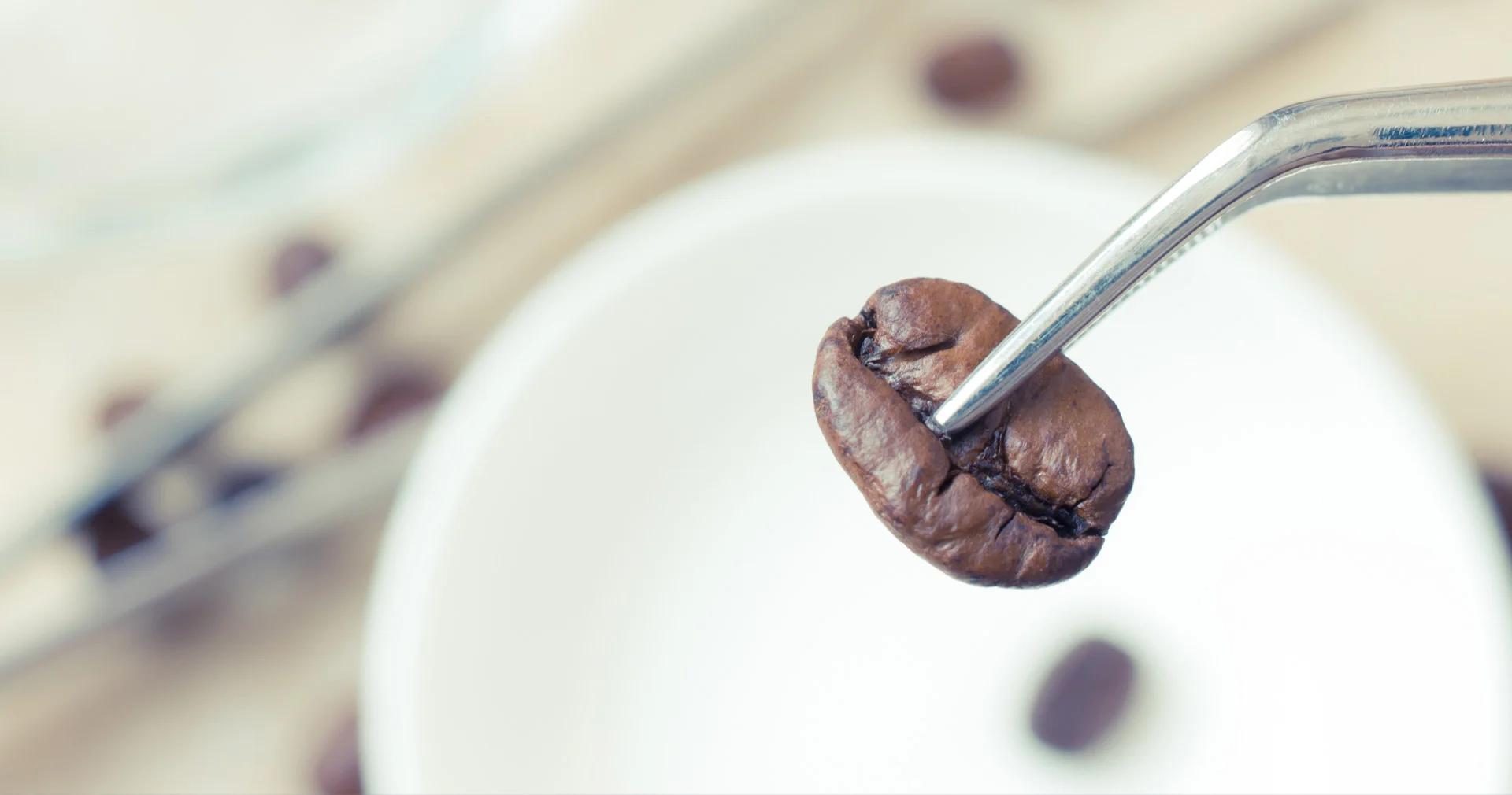 Coffee bean inspection